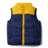 Janie And Jack Blocked Puffer Vest (Toddler/Little Kids/Big Kids)