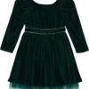 Janie And Jack Velvet Disney Frozen Dress (Toddler/Little Kids/Big Kids).