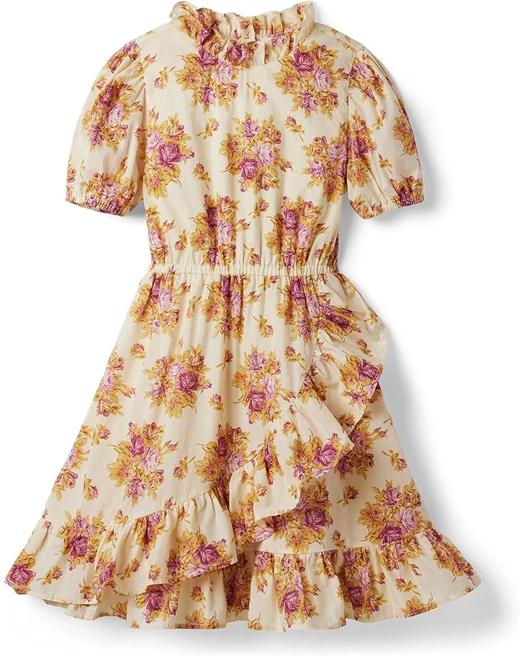 Janie And Jack Rose Print Dress (Big Kids)