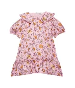 Janie And Jack Floral Collar Dress (Toddler/Little Kids/Big Kids)