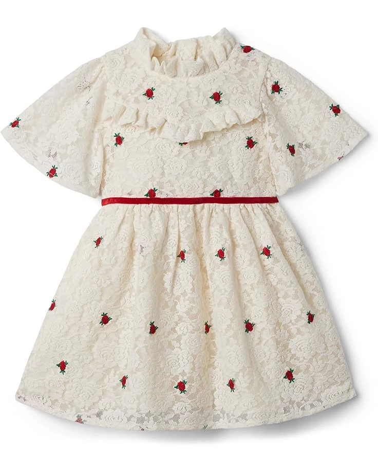 Janie And Jack Lace Party Dress (Toddler/Little Kids/Big Kids)
