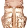 Janie And Jack Metallic Vest (Toddler/Little Kids/Big Kids)